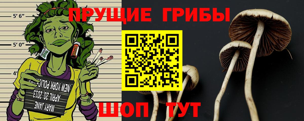 Псилоцибиновые грибы мицелий Миллерово