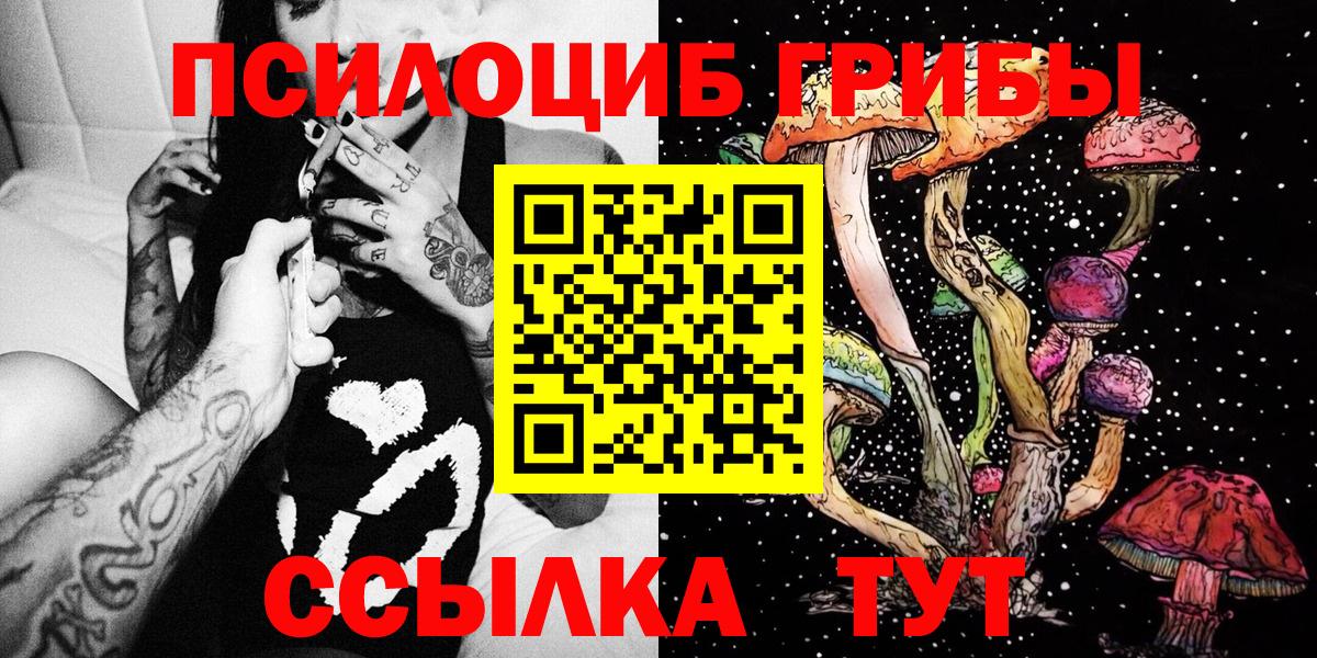 Галлюциногенные грибы MAGIC MUSHROOMS  где найти наркотики  Миллерово  Вход с VPN 